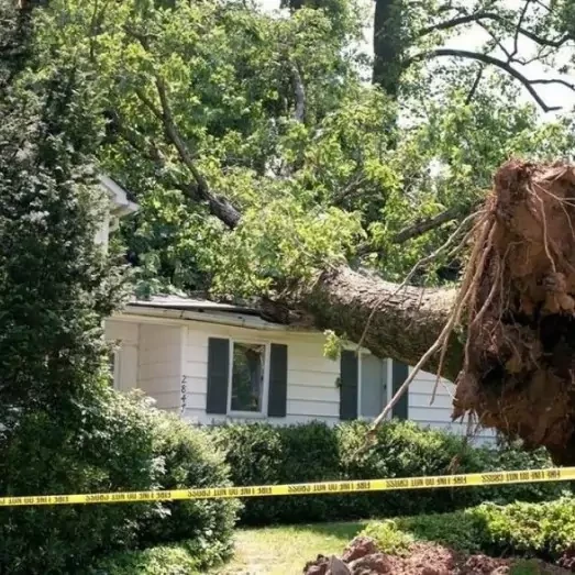 Storm & Wind Damage Repair Services in North Kansas City, MO